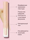 Консилер Для Лица Универсальный Concealer True Color Тон 02n