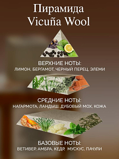 Vicuna Wool Парфюмерная вода 100 мл