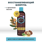 Argan Восстанавливающий шампунь для волос с аргановым маслом, 355 мл