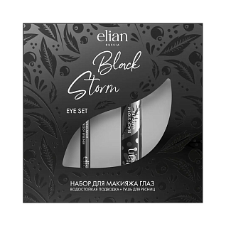 Набор Для макияжа глаз black storm eye set (тушь 10 мл + подводка 1,6 мл)