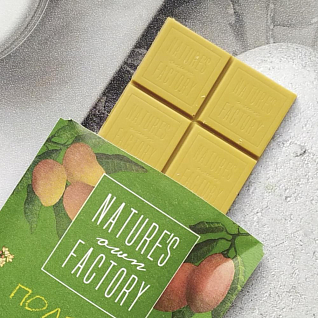 Гречишный шоколад с манго nature’s own factory 20 гр