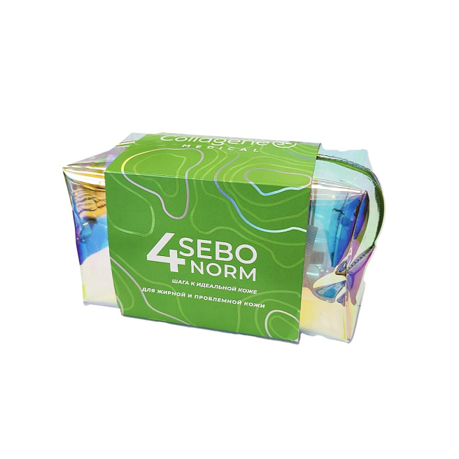 SEBO NORM COLLECTION Набор для жирной и проблемной кожи лица из 4 продуктов